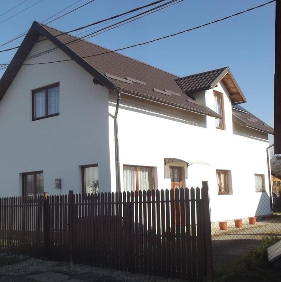 Casa Mocanu Sarmas エクステリア 写真