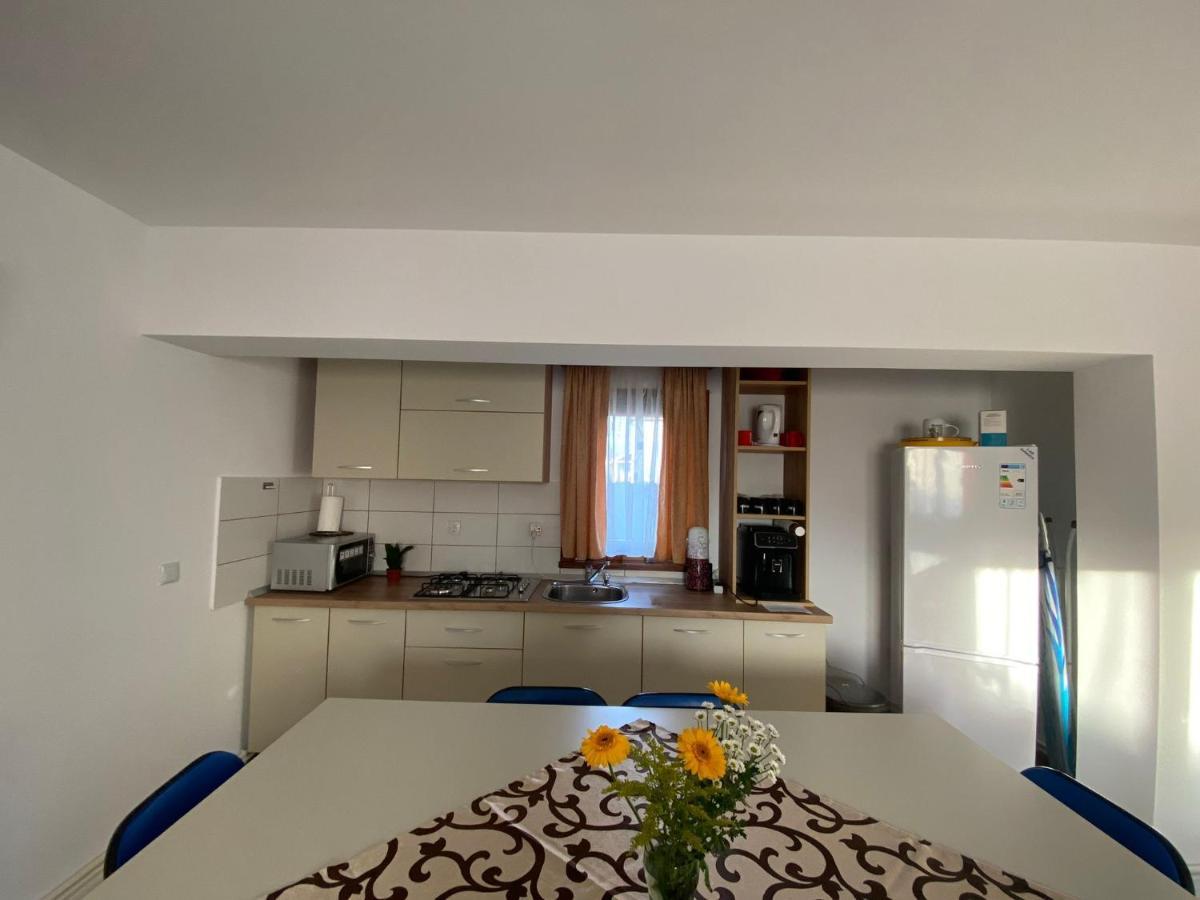 Casa Mocanu Sarmas エクステリア 写真